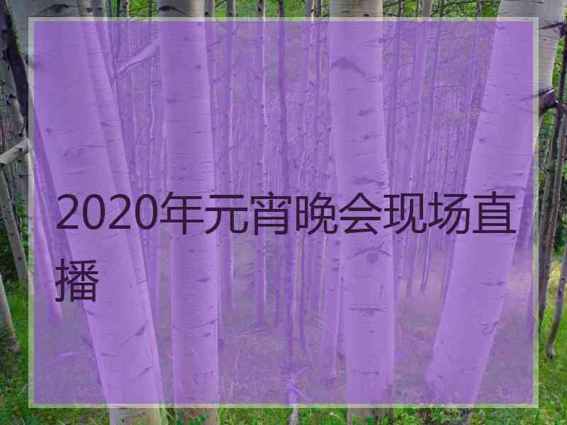 2020年元宵晚会现场直播