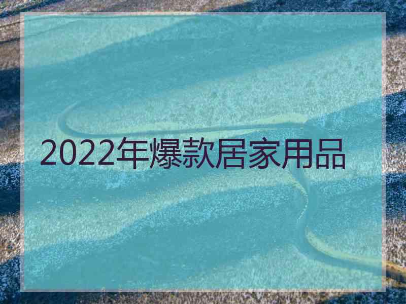 2022年爆款居家用品