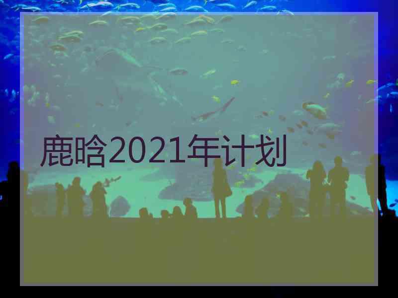 鹿晗2021年计划