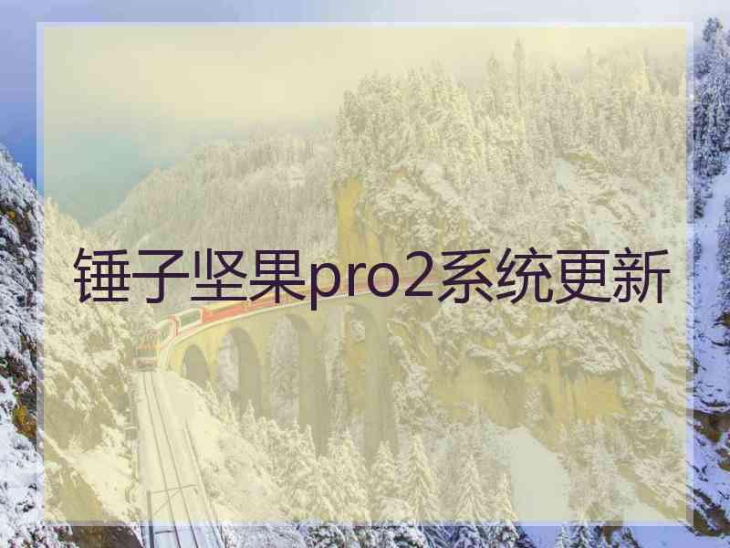 锤子坚果pro2系统更新