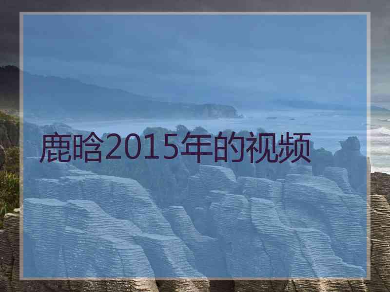 鹿晗2015年的视频