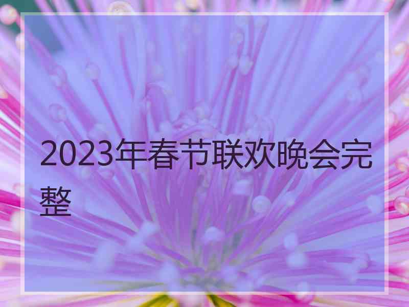 2023年春节联欢晚会完整