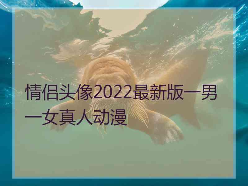 情侣头像2022最新版一男一女真人动漫