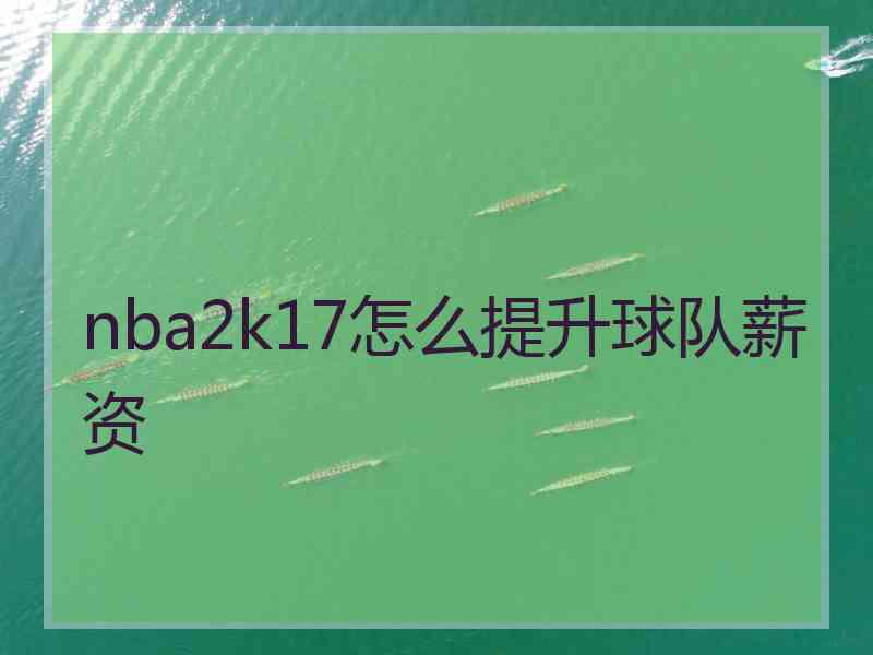 nba2k17怎么提升球队薪资