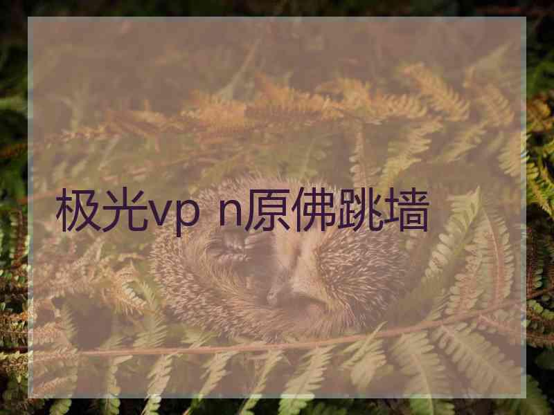 极光vp n原佛跳墙