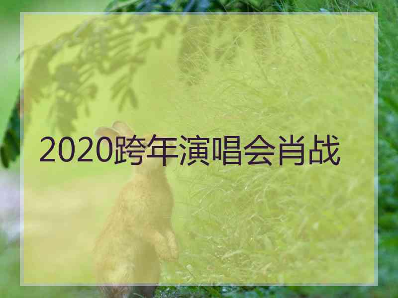 2020跨年演唱会肖战