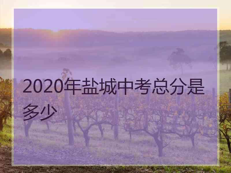 2020年盐城中考总分是多少