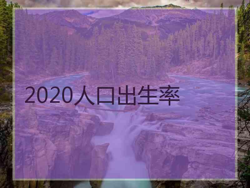 2020人口出生率