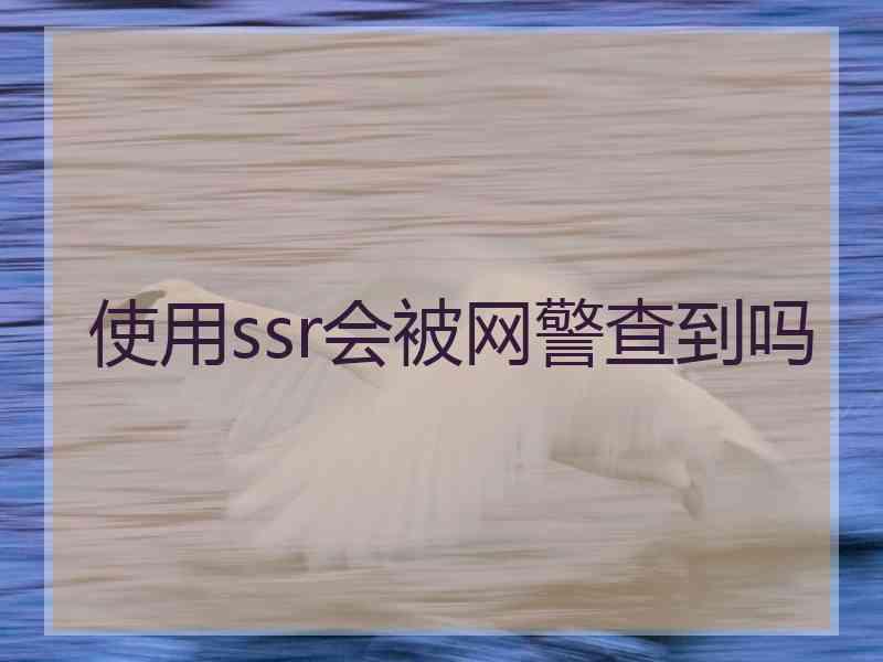 使用ssr会被网警查到吗