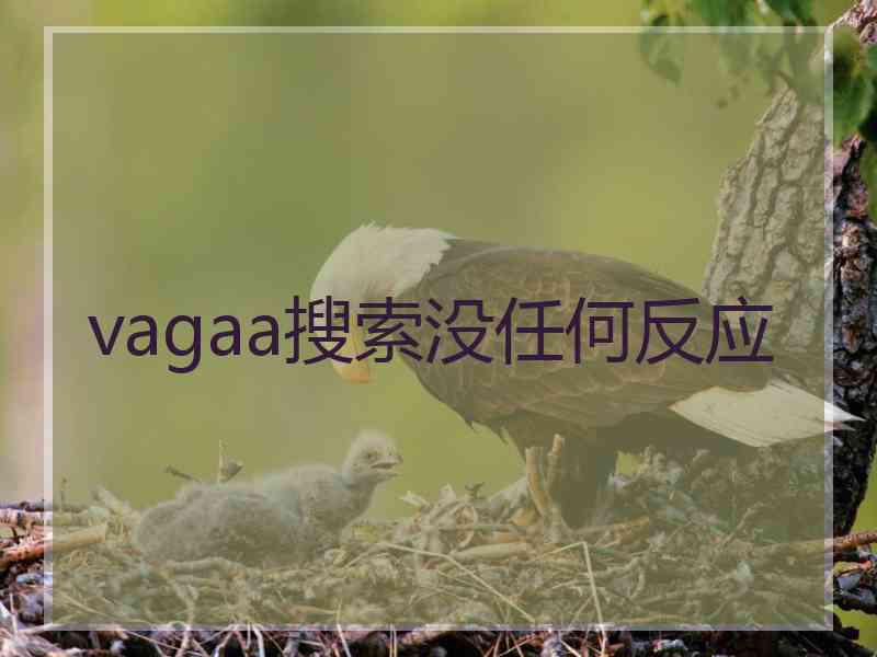 vagaa搜索没任何反应