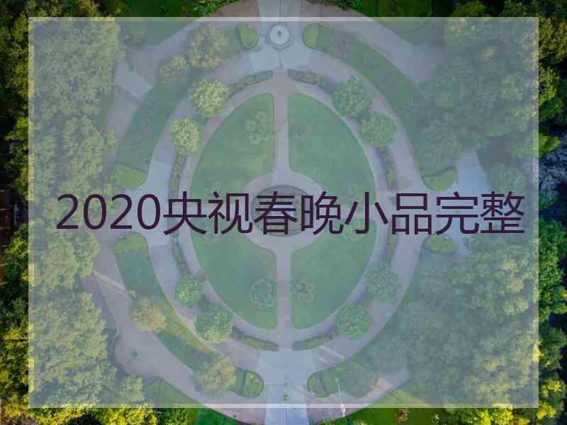 2020央视春晚小品完整