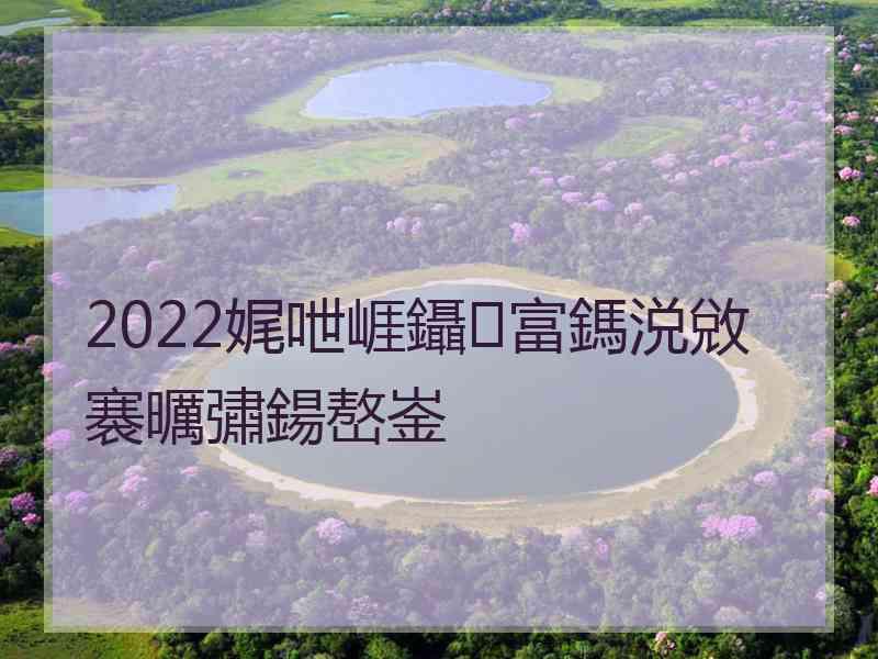 2022娓呭崕鑷富鎷涚敓褰曞彇鍚嶅崟