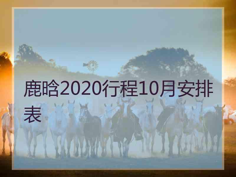 鹿晗2020行程10月安排表