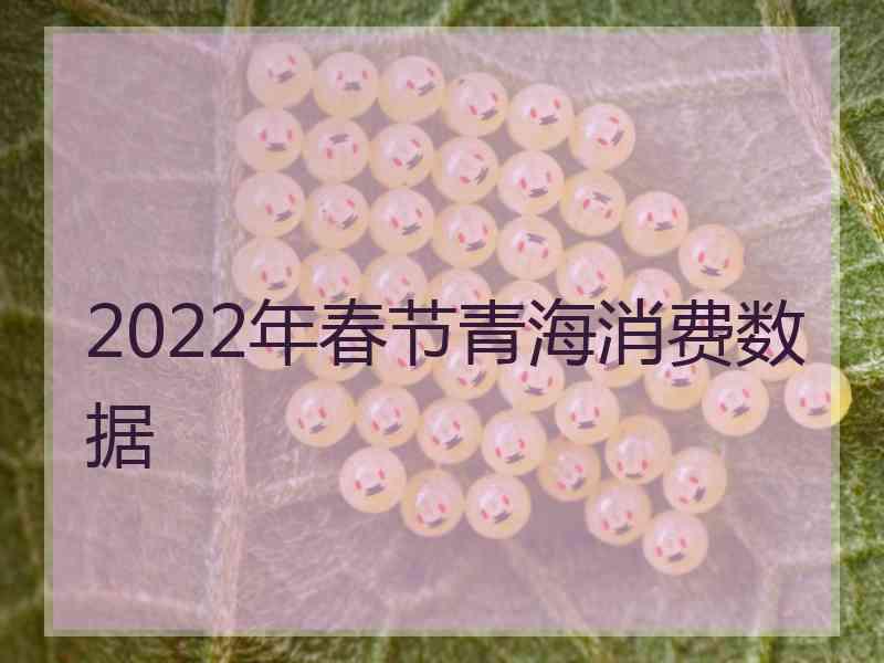 2022年春节青海消费数据