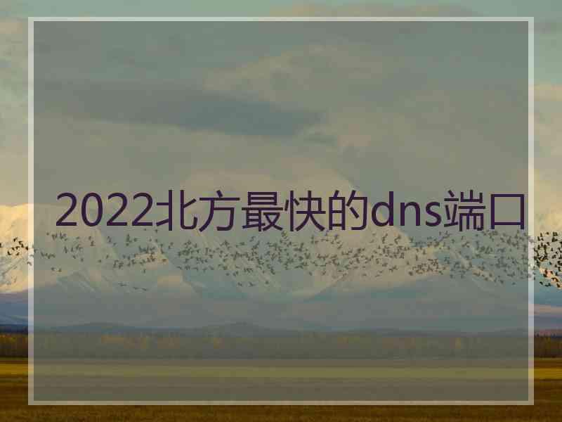 2022北方最快的dns端口