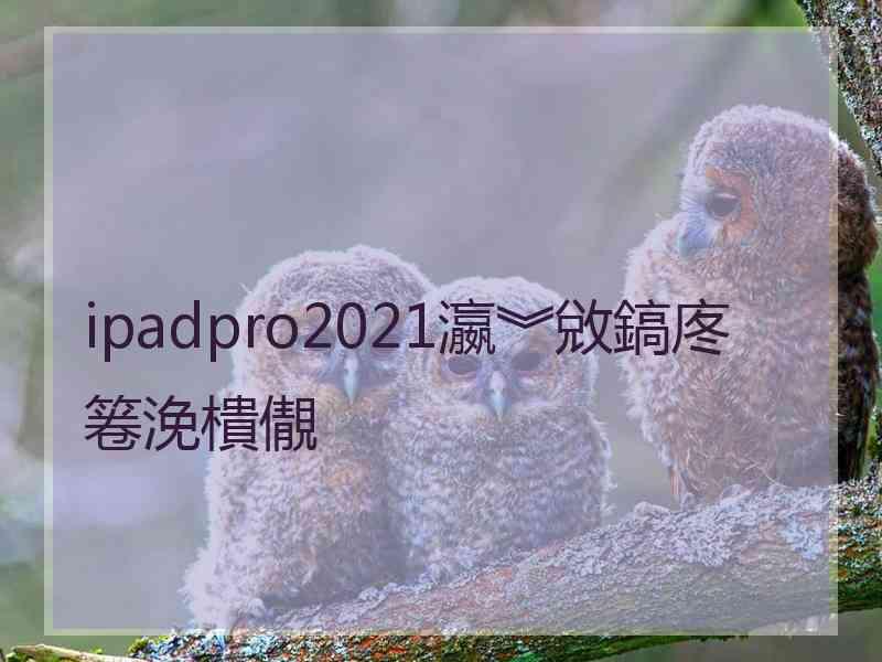 ipadpro2021瀛︾敓鎬庝箞浼樻儬