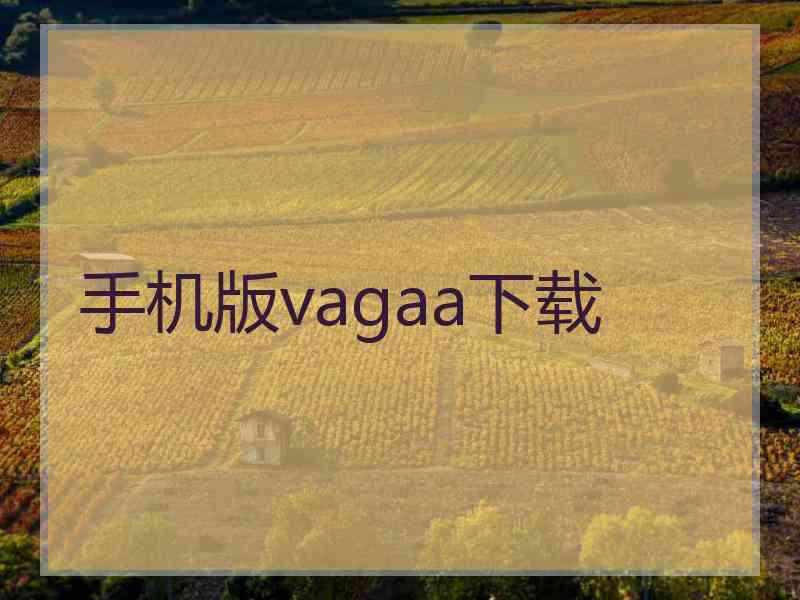 手机版vagaa下载