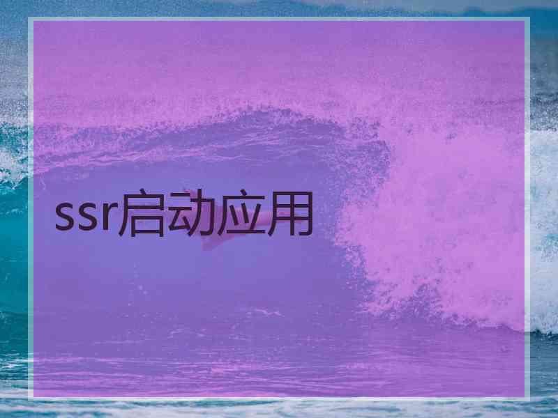 ssr启动应用