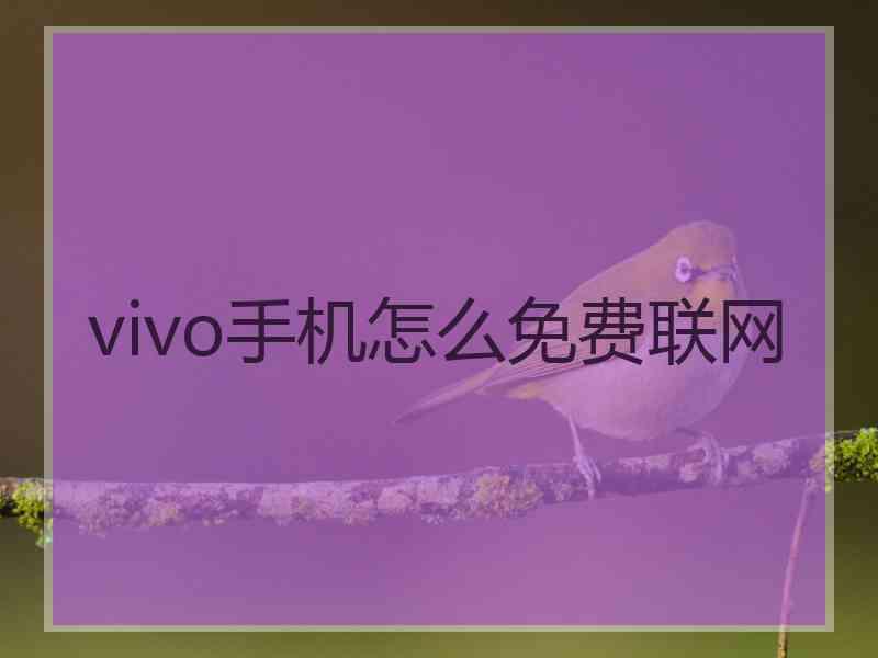 vivo手机怎么免费联网