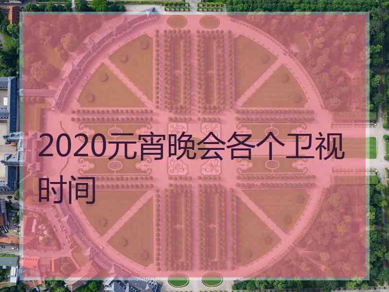 2020元宵晚会各个卫视时间