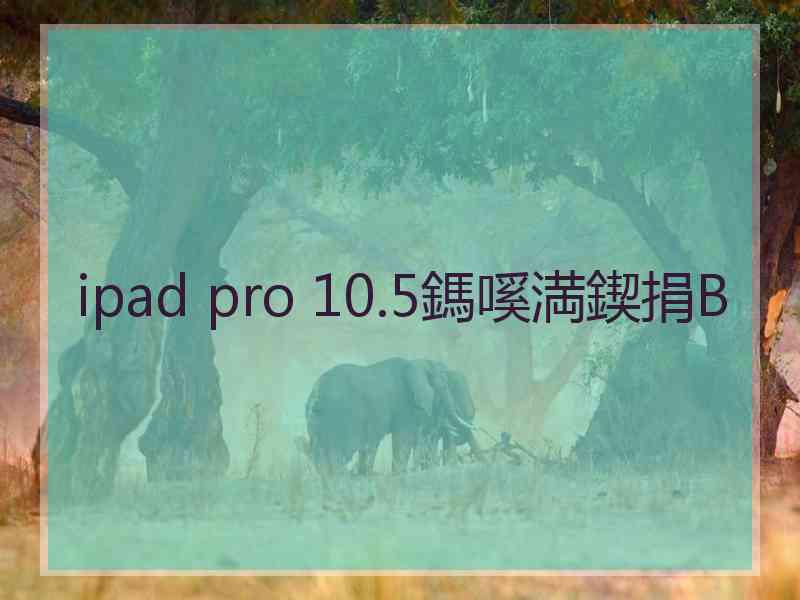 ipad pro 10.5鎷嗘満鍥捐В