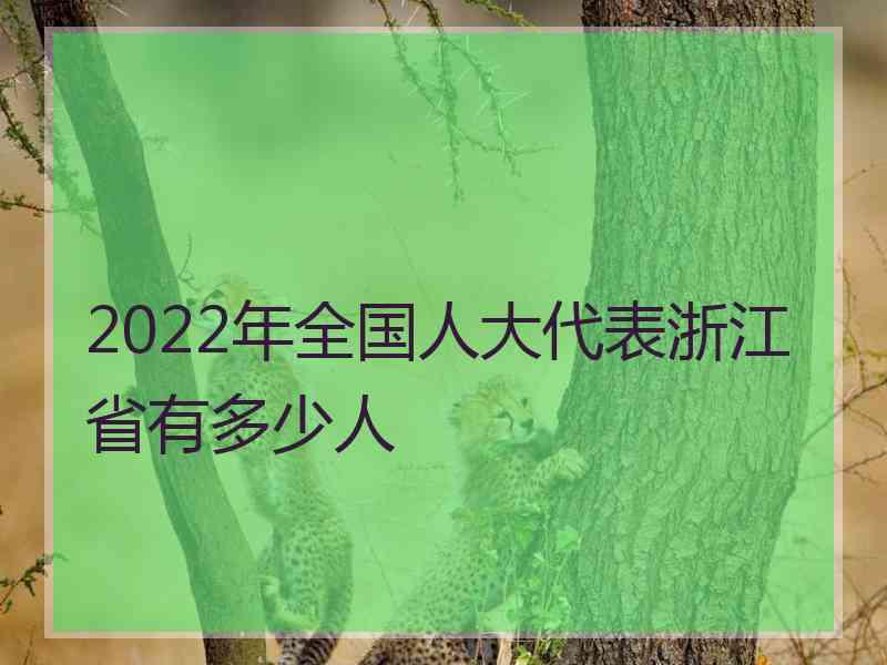 2022年全国人大代表浙江省有多少人