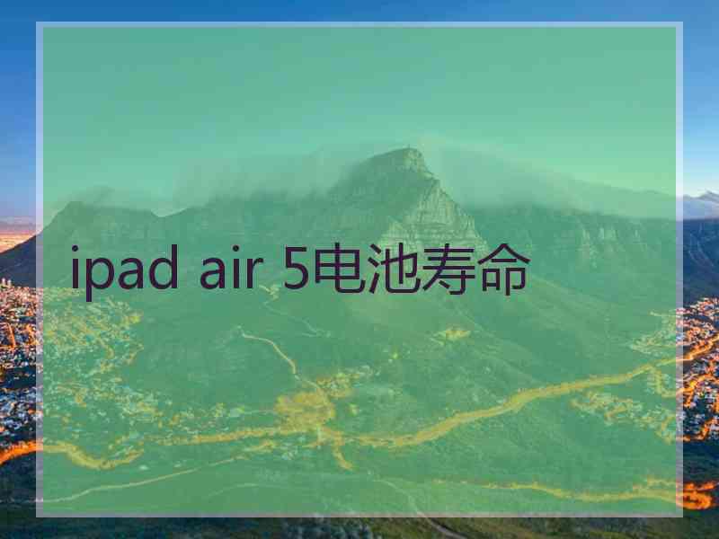 ipad air 5电池寿命