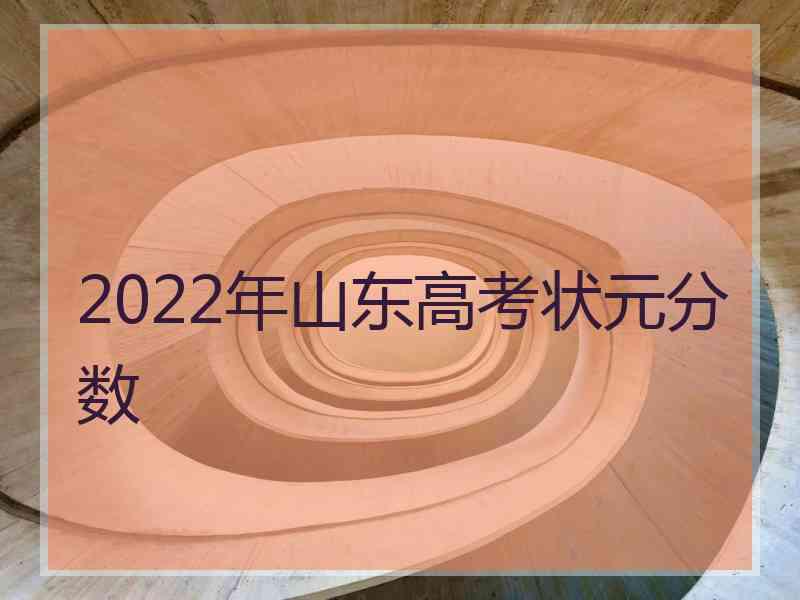 2022年山东高考状元分数