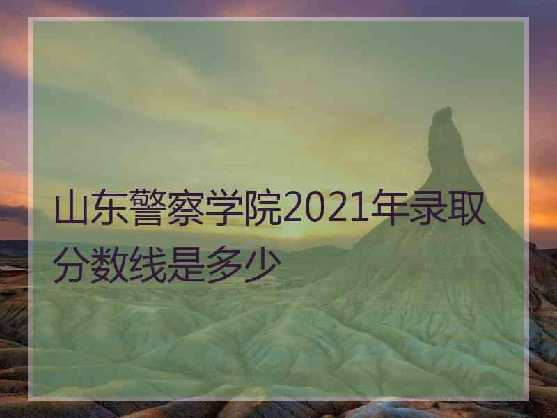 山东警察学院2021年录取分数线是多少