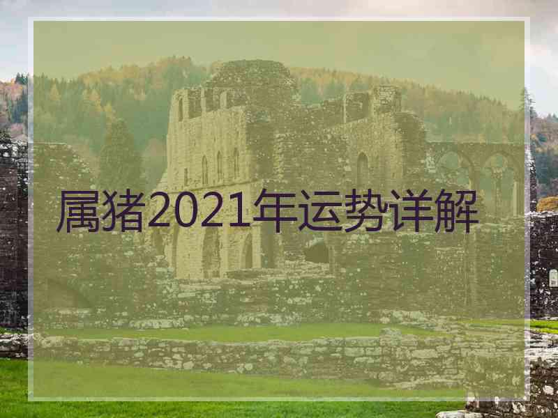 属猪2021年运势详解