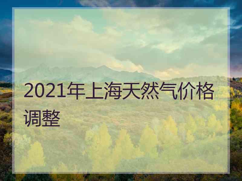 2021年上海天然气价格调整