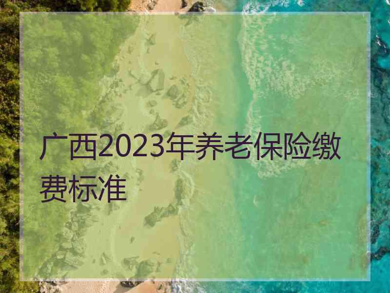 广西2023年养老保险缴费标准