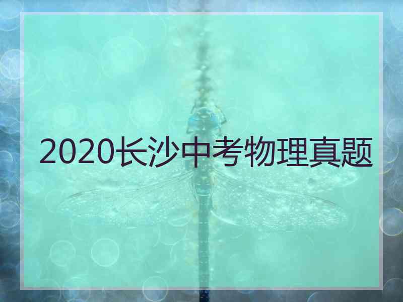 2020长沙中考物理真题