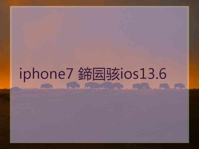 iphone7 鍗囩骇ios13.6