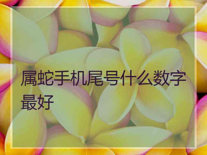 属蛇手机尾号什么数字最好