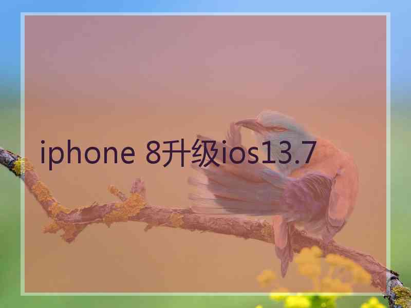 iphone 8升级ios13.7