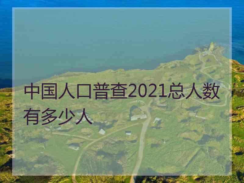 中国人口普查2021总人数有多少人