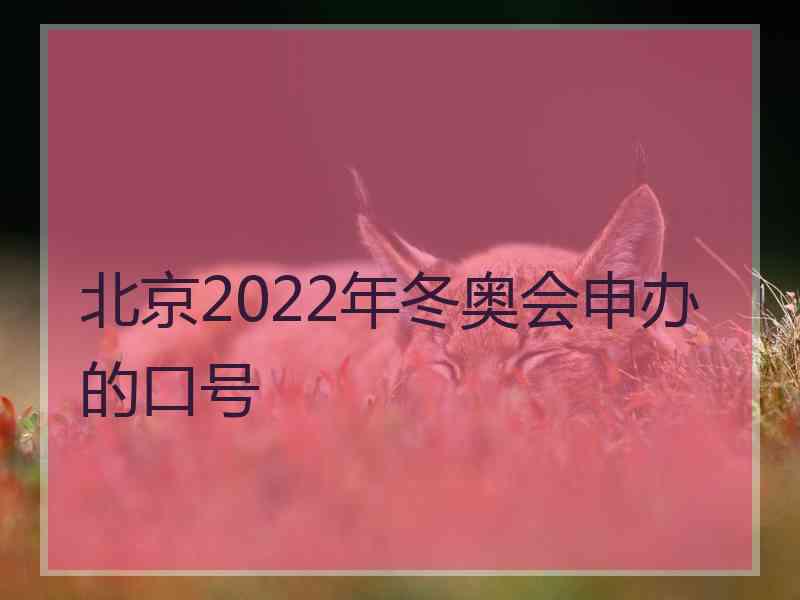 北京2022年冬奥会申办的口号