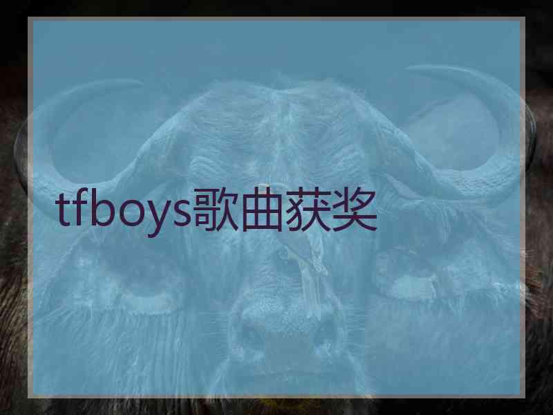 tfboys歌曲获奖