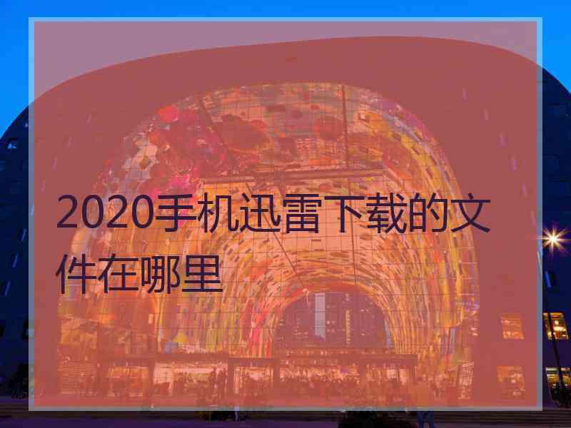 2020手机迅雷下载的文件在哪里