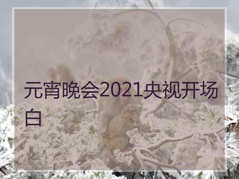 元宵晚会2021央视开场白