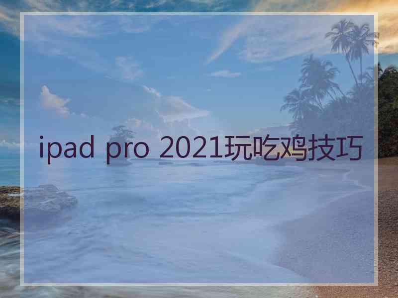 ipad pro 2021玩吃鸡技巧