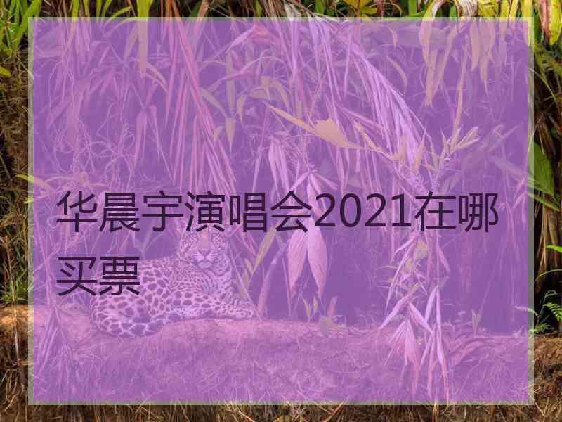 华晨宇演唱会2021在哪买票