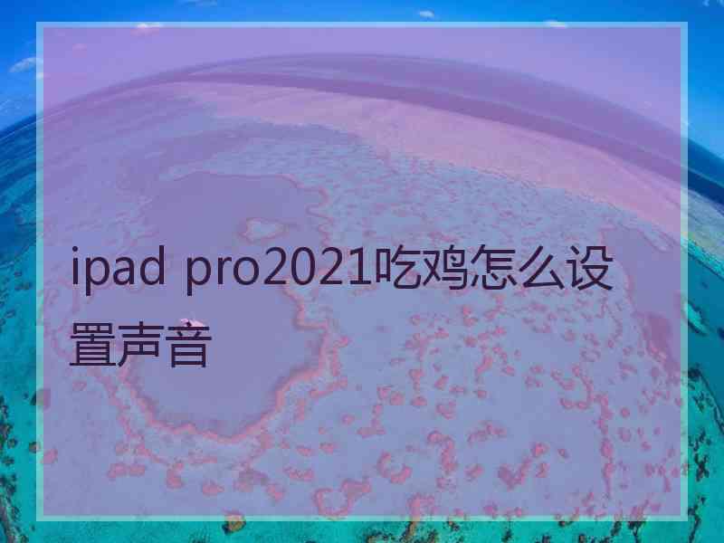 ipad pro2021吃鸡怎么设置声音