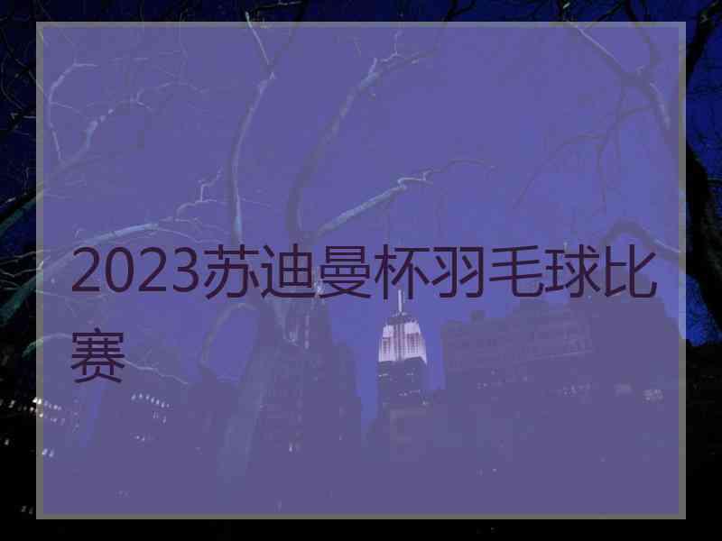 2023苏迪曼杯羽毛球比赛