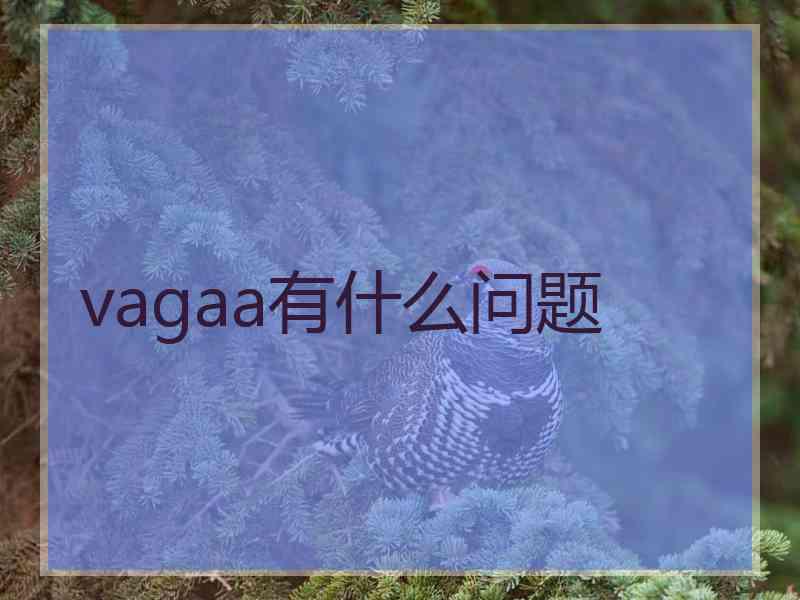 vagaa有什么问题