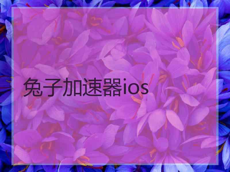 兔子加速器ios