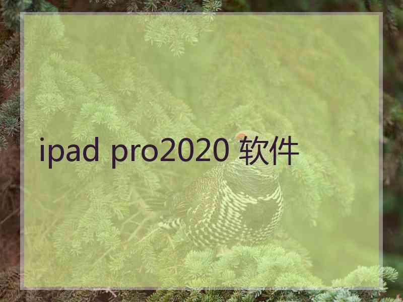 ipad pro2020 软件