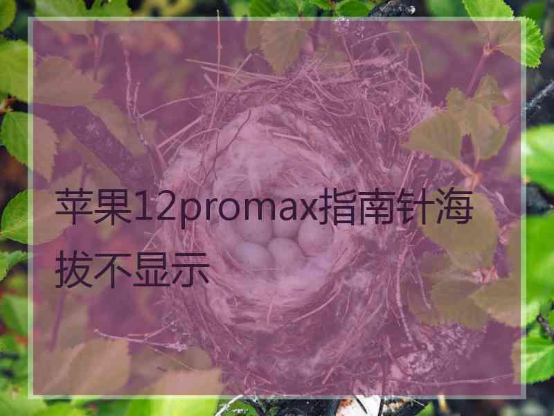 苹果12promax指南针海拔不显示