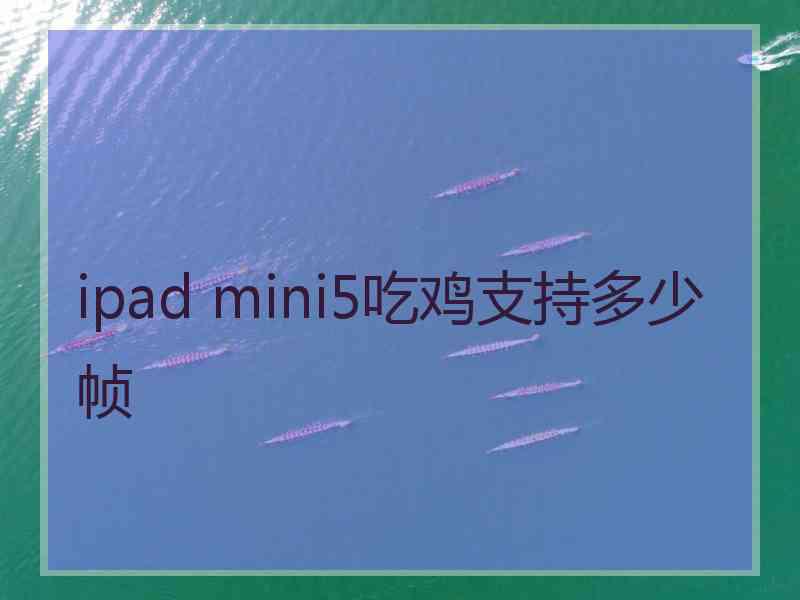 ipad mini5吃鸡支持多少帧